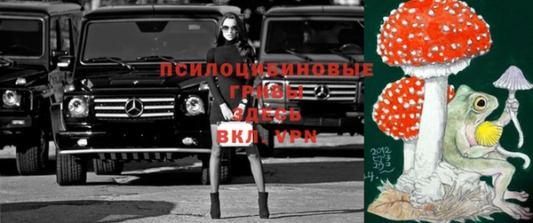 тгк Новозыбков