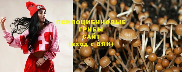 амф Алексеевка