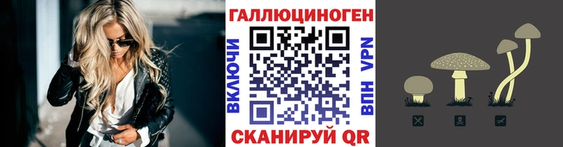 Псилоцибиновые грибы GOLDEN TEACHER  Бронницы 